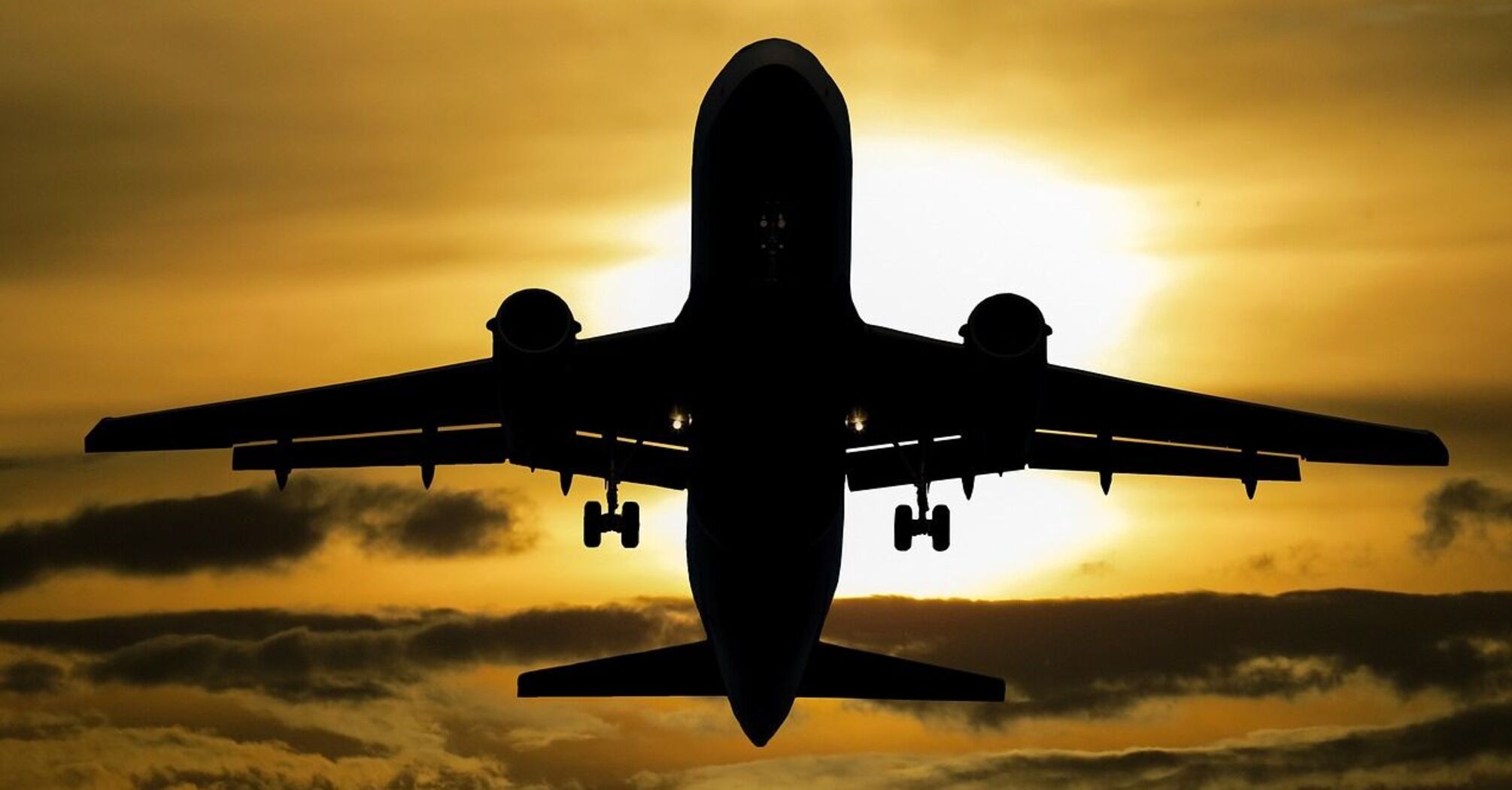 The plane failed to take off