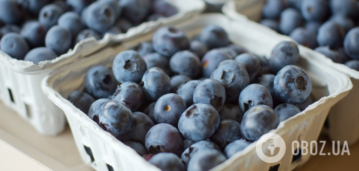 How to feed blueberries to make them better than store-bought: secrets of gardeners