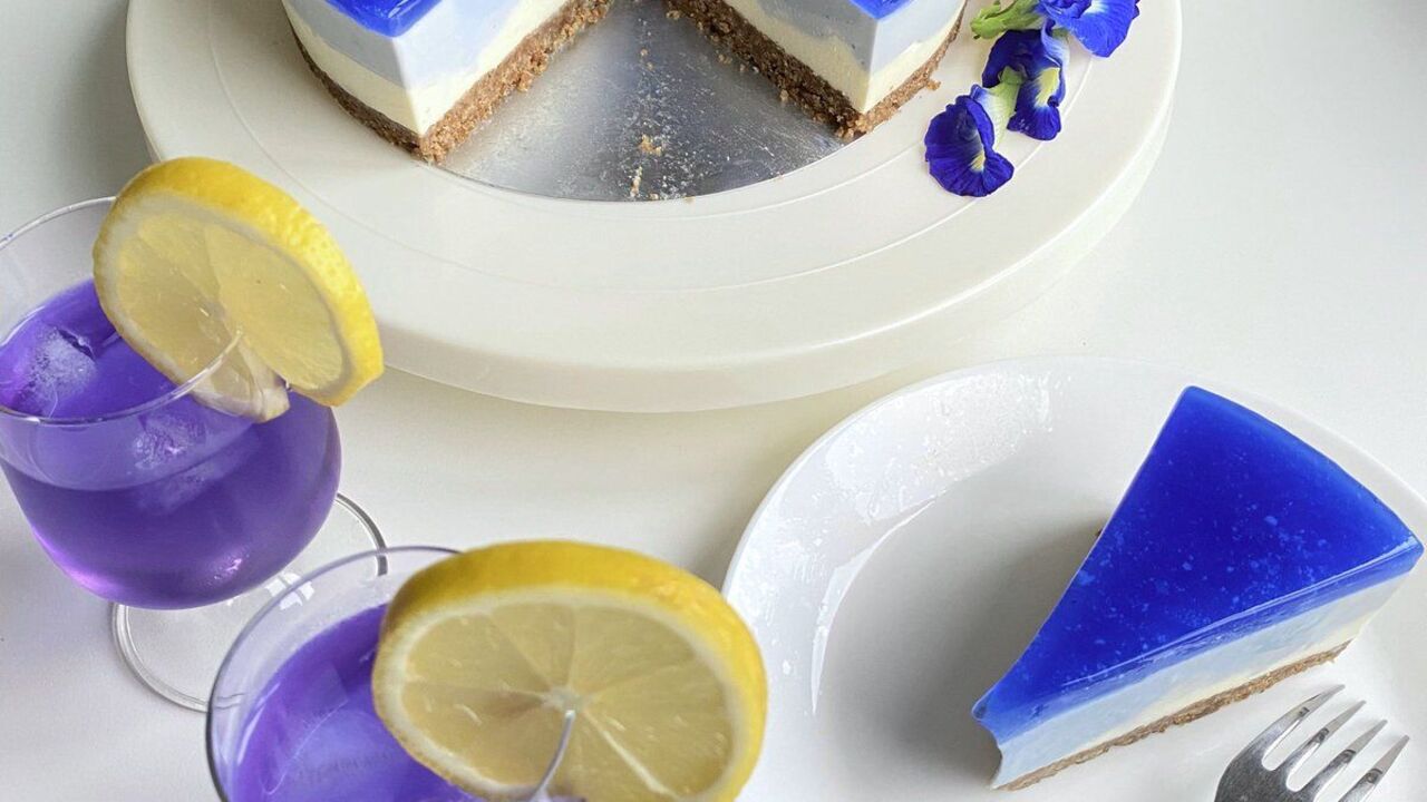 Spectacular blue cheesecake with blueberries: no need to bake