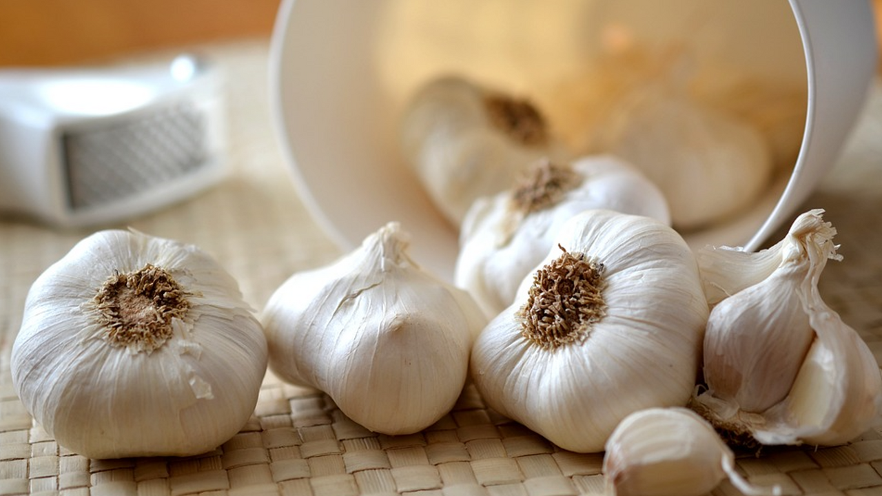 How to store peeled garlic so that it does not rot or sprout