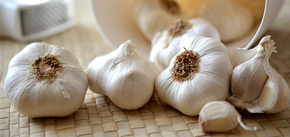 How to store peeled garlic so that it does not rot or sprout