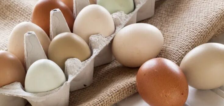 How to extend the shelf life of eggs: a simple way