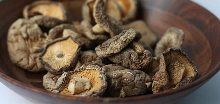How to dry mushrooms properly: there are some mistakes that should be avoided