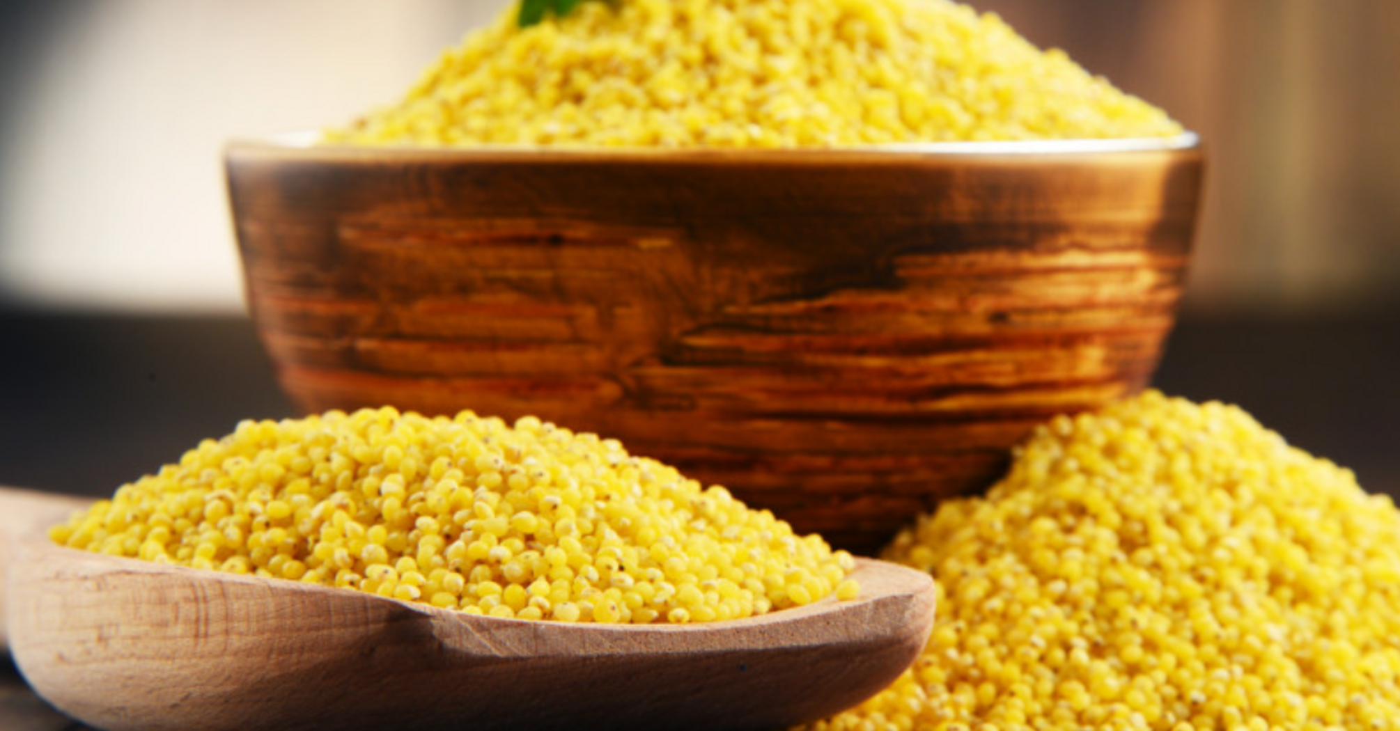 Why fry millet before cooking: every housewife should know this