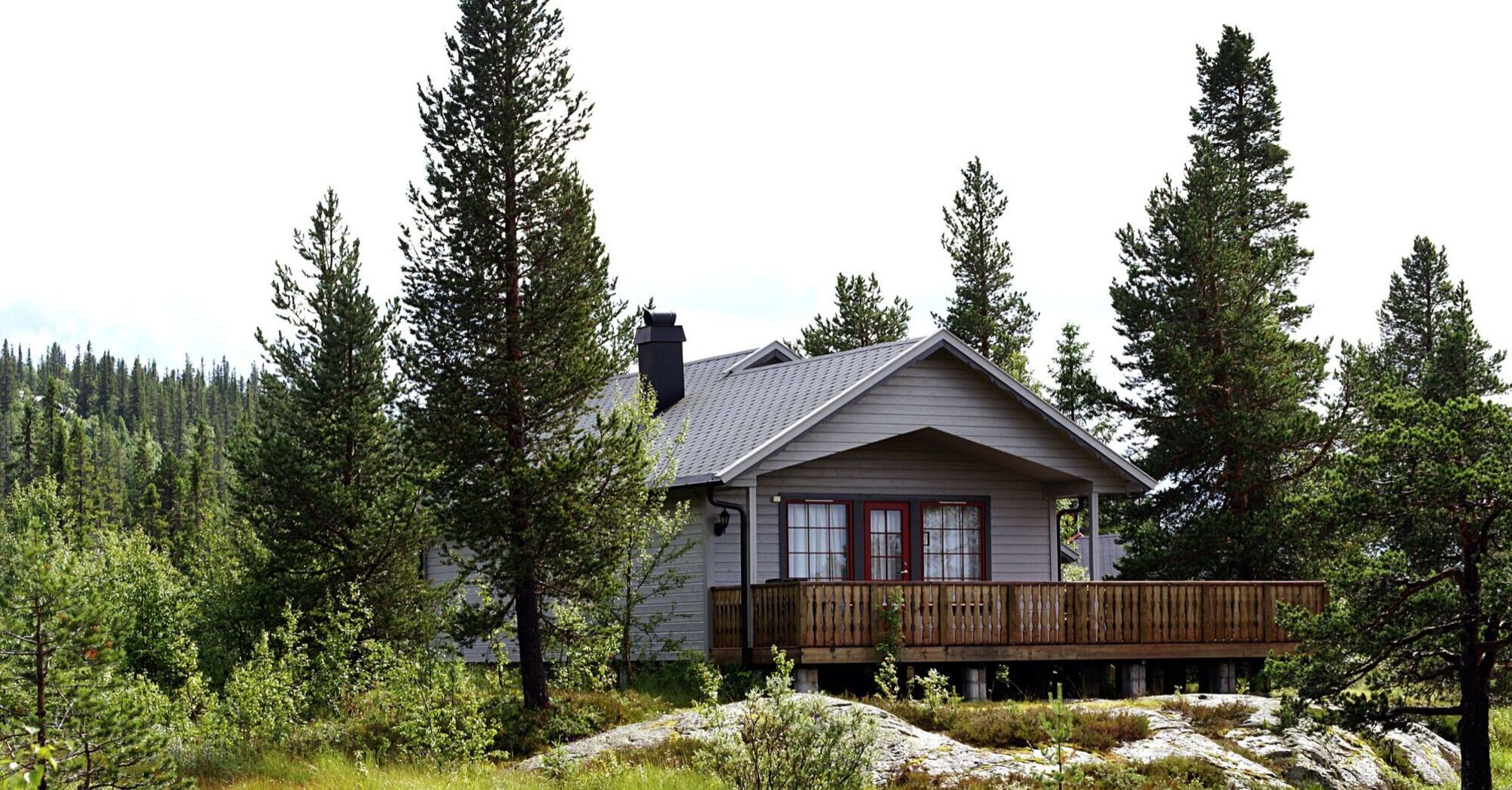 Плюсы и минусы деревьев на участке