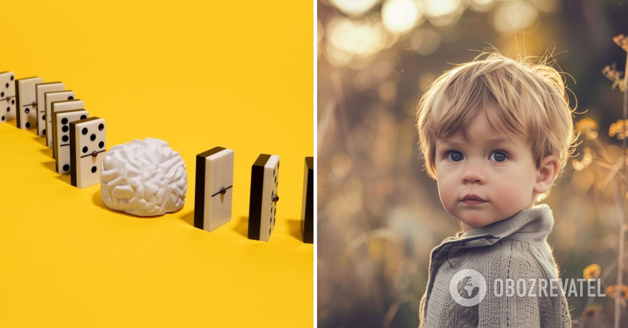 Find three differences in 12 seconds: a cute puzzle for the most attentive