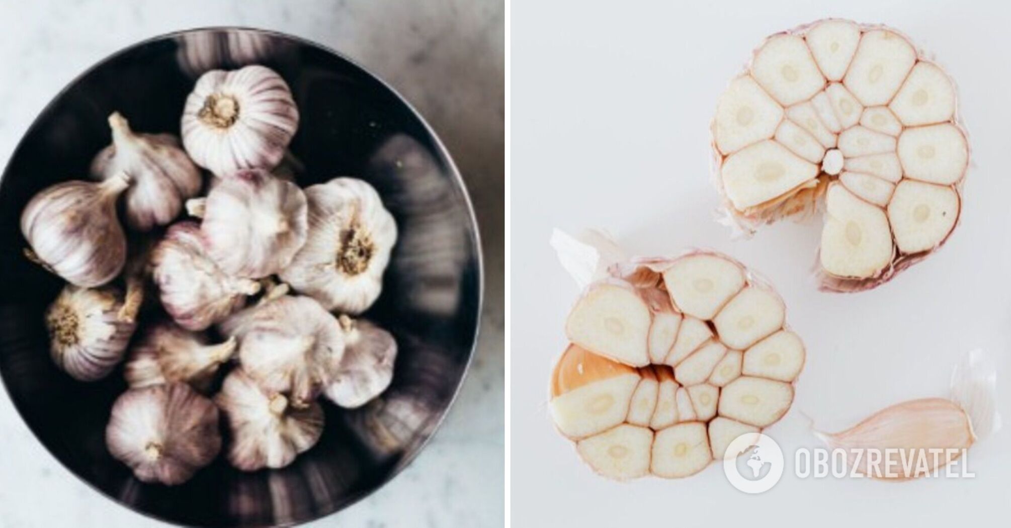 What kind of garlic to eat and how much so that it does not harm: the answer of experts