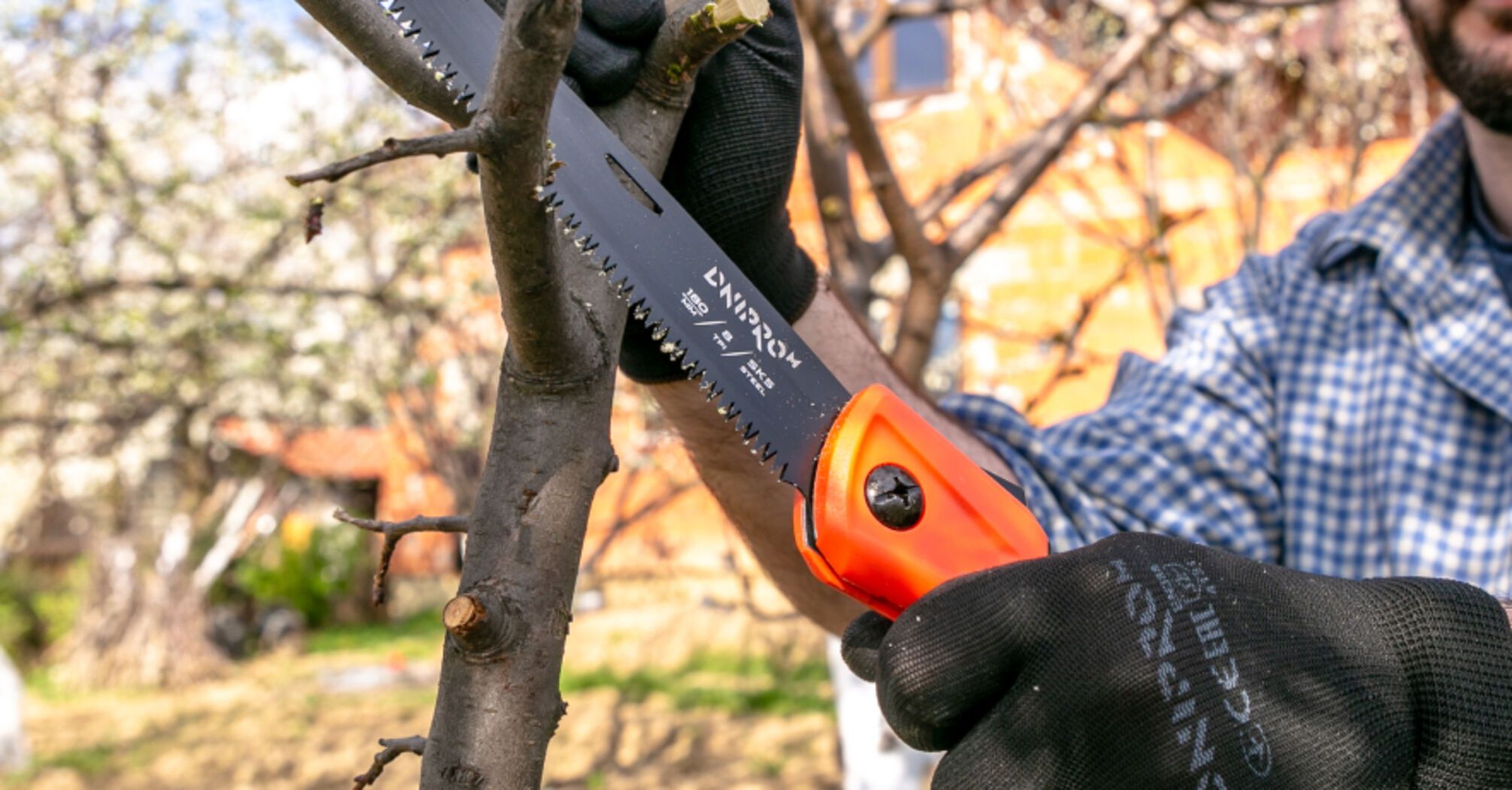 Dnipro-M specialists told what tools are needed for pruning in the garden