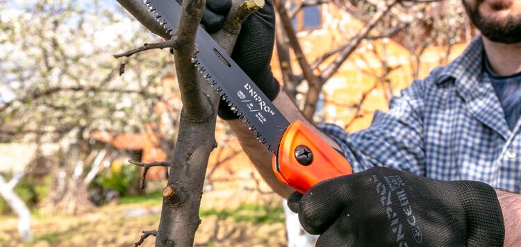 Dnipro-M specialists told what tools are needed for pruning in the garden