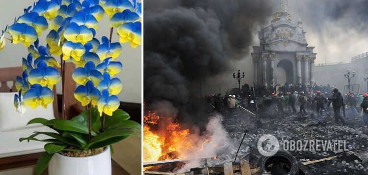 Na Tajwanie wyhodowano nową odmianę orchidei o nazwie "Ukraina". Zdjęcie