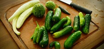 How to keep fresh cucumbers for a long time