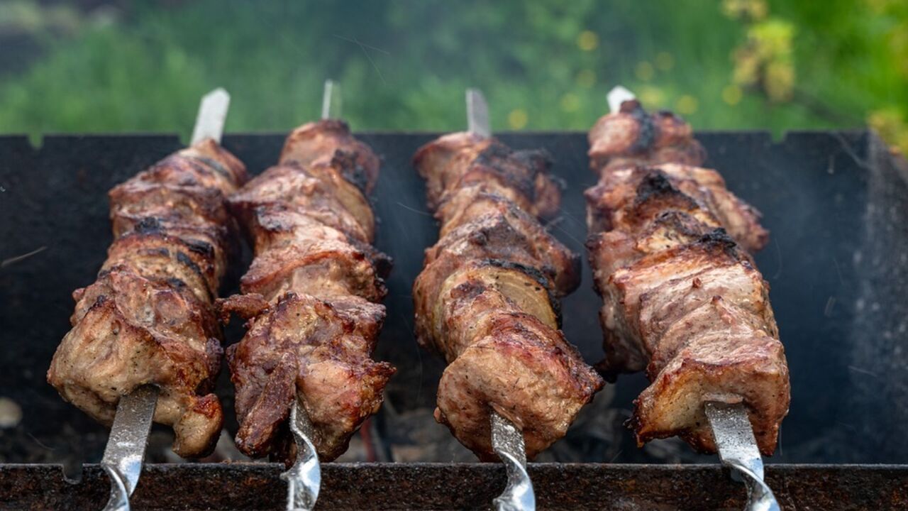 How to choose the perfect meat for kebabs: useful tips