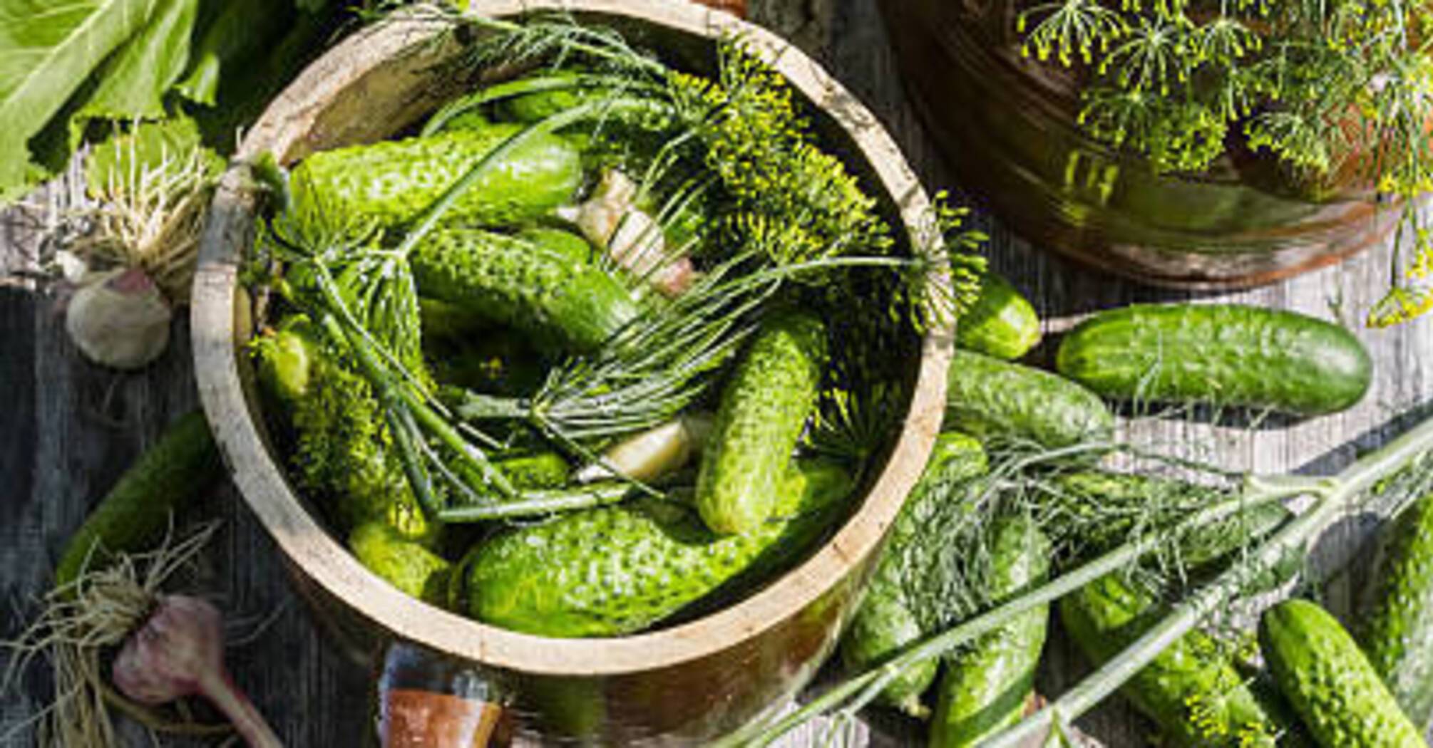 Recipe for pickled cucumbers