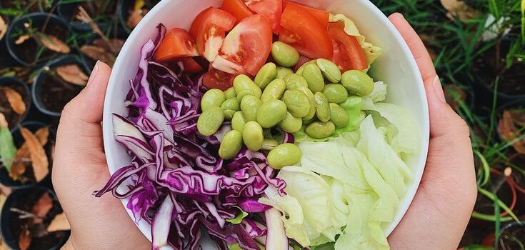 American "Coleslaw" salad: with white cabbage and purple cabbage