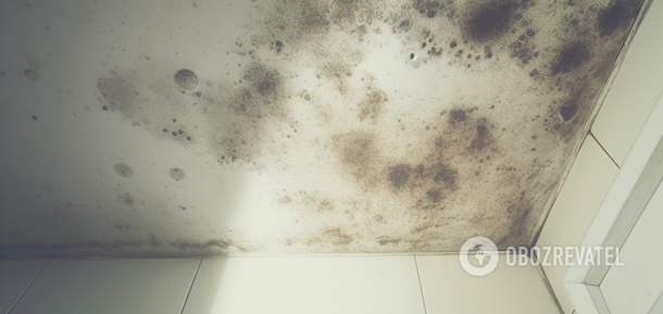 How to get rid of mold without toxic products: an easy way