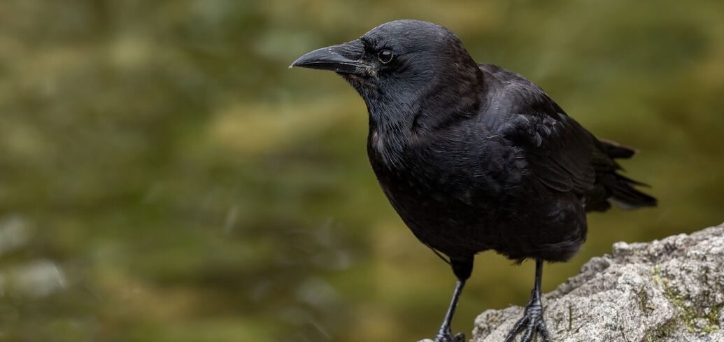 Приметы и поверья