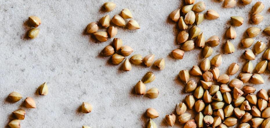 Плюси і мінуси зеленої гречки