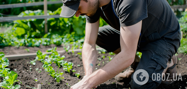 Sowing calendar for April: which days are categorically not suitable for gardening