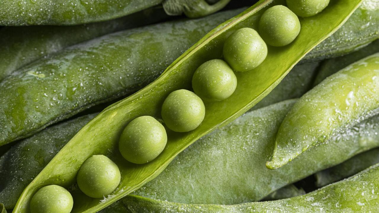 When to sow peas outdoors: instructions for beginners
