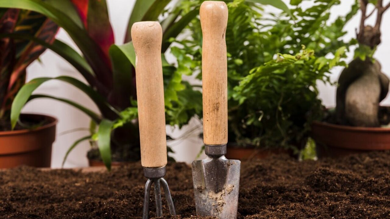How to check soil temperature before planting vegetables: easy ways