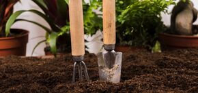 Jak sprawdzić temperaturę gleby przed sadzeniem warzyw: proste sposoby