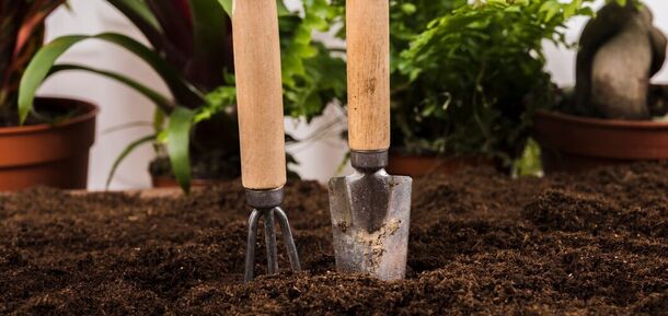 How to check soil temperature before planting vegetables: easy ways