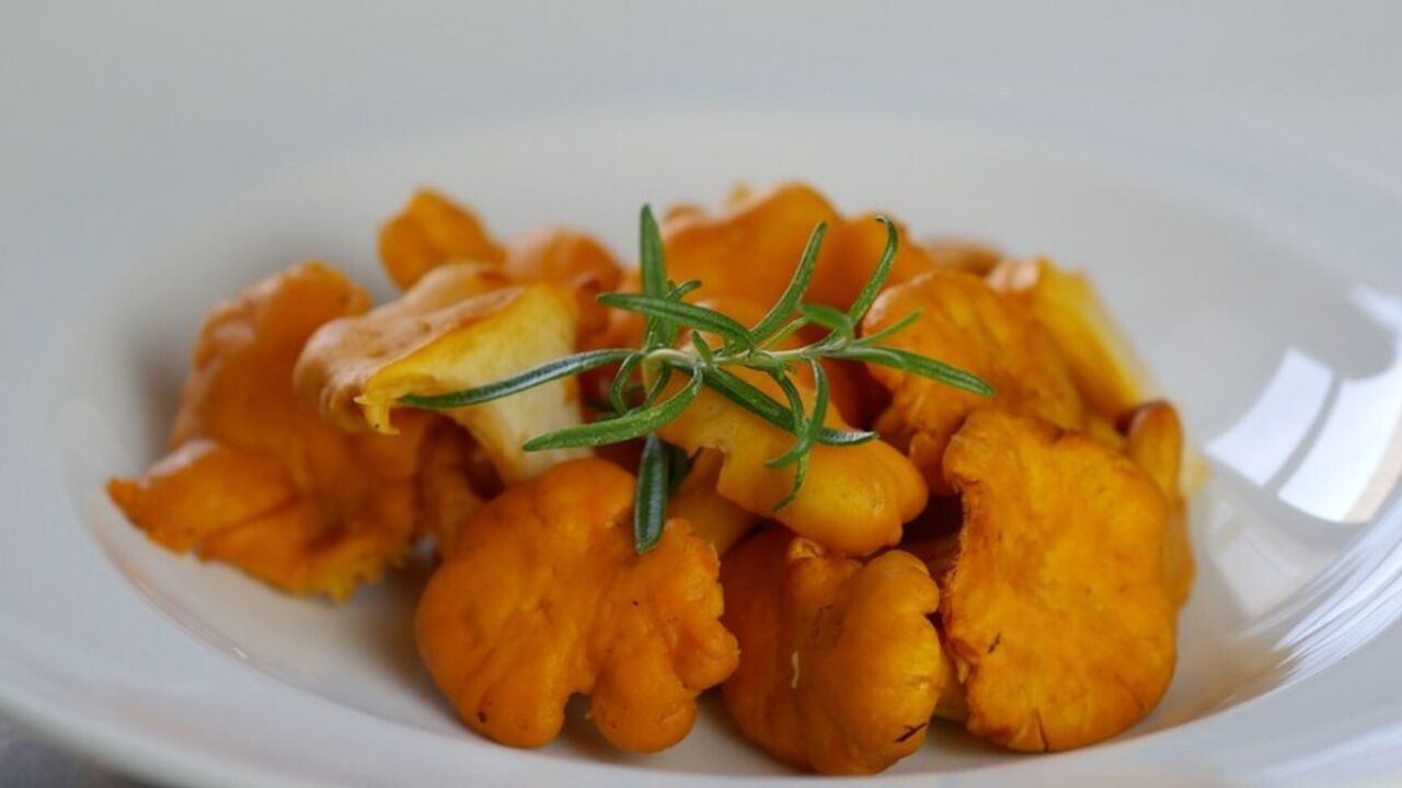 How to fry chanterelles in a pan to make them delicious: perfect for rice or pasta