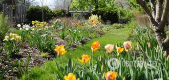 Jak chronić rośliny w ogrodzie przed mrozem: skuteczne sposoby