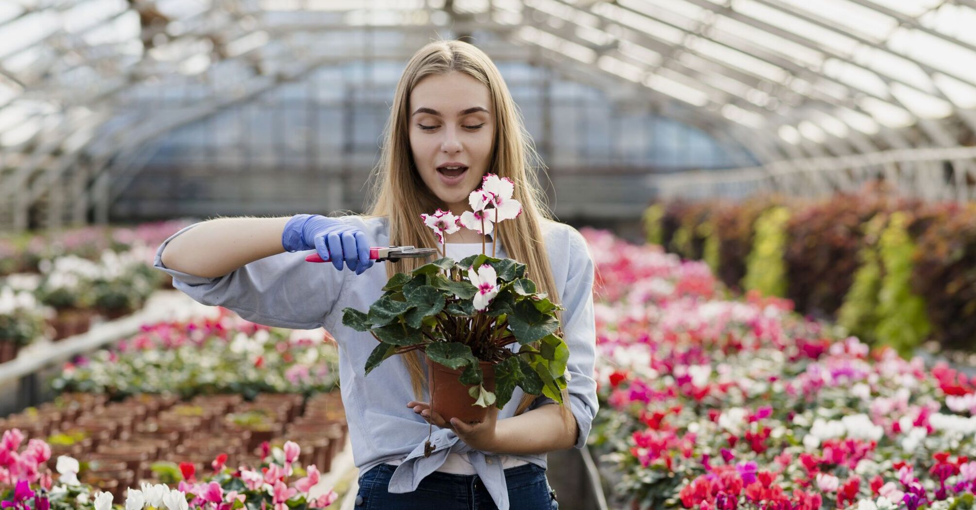 Which flowers to prune now for a luxurious flower bed in summer
