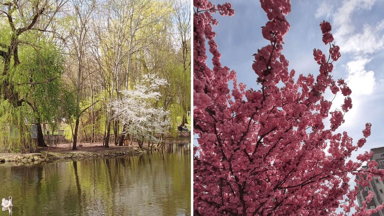 "A perfect city for a weekend": what to visit in Ivano-Frankivsk