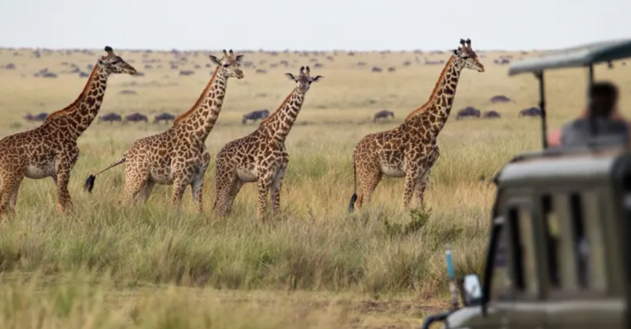 Від Узбекистану до Намібії: топ-7 незвичних країн, які варто відвідати у 2024 році