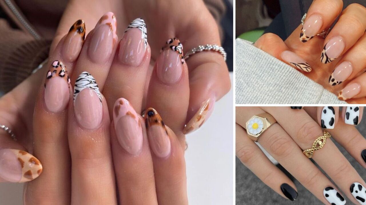 The most fashionable animal manicure of 2024 has been named. Photo