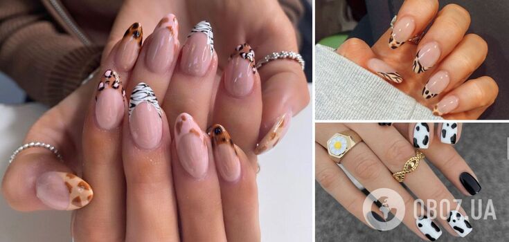 The most fashionable animal manicure of 2024 has been named. Photo