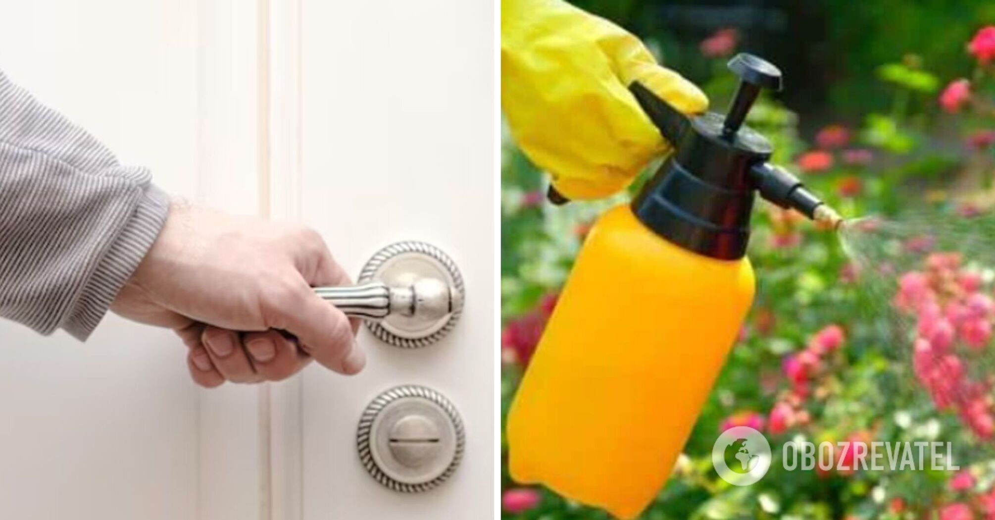 Контактный дерматит – враг, который подстерегает в самых неожиданных местах: как уберечься