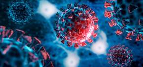 Is humanity living in a simulation? A physicist was studying the coronavirus and came across a strange nuance