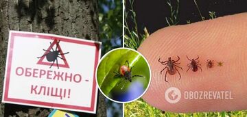 Immunologist names the best way to protect yourself from ticks 