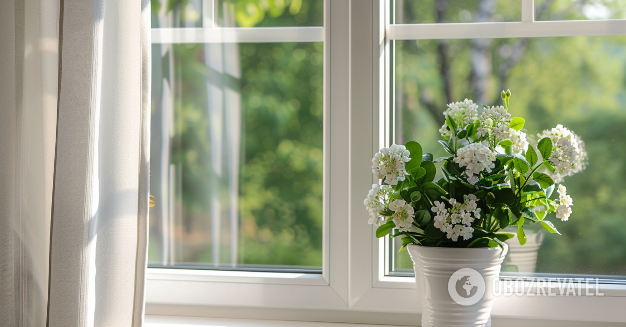 What to rub on windows to make them shine clean even after rain: a method that few people know about