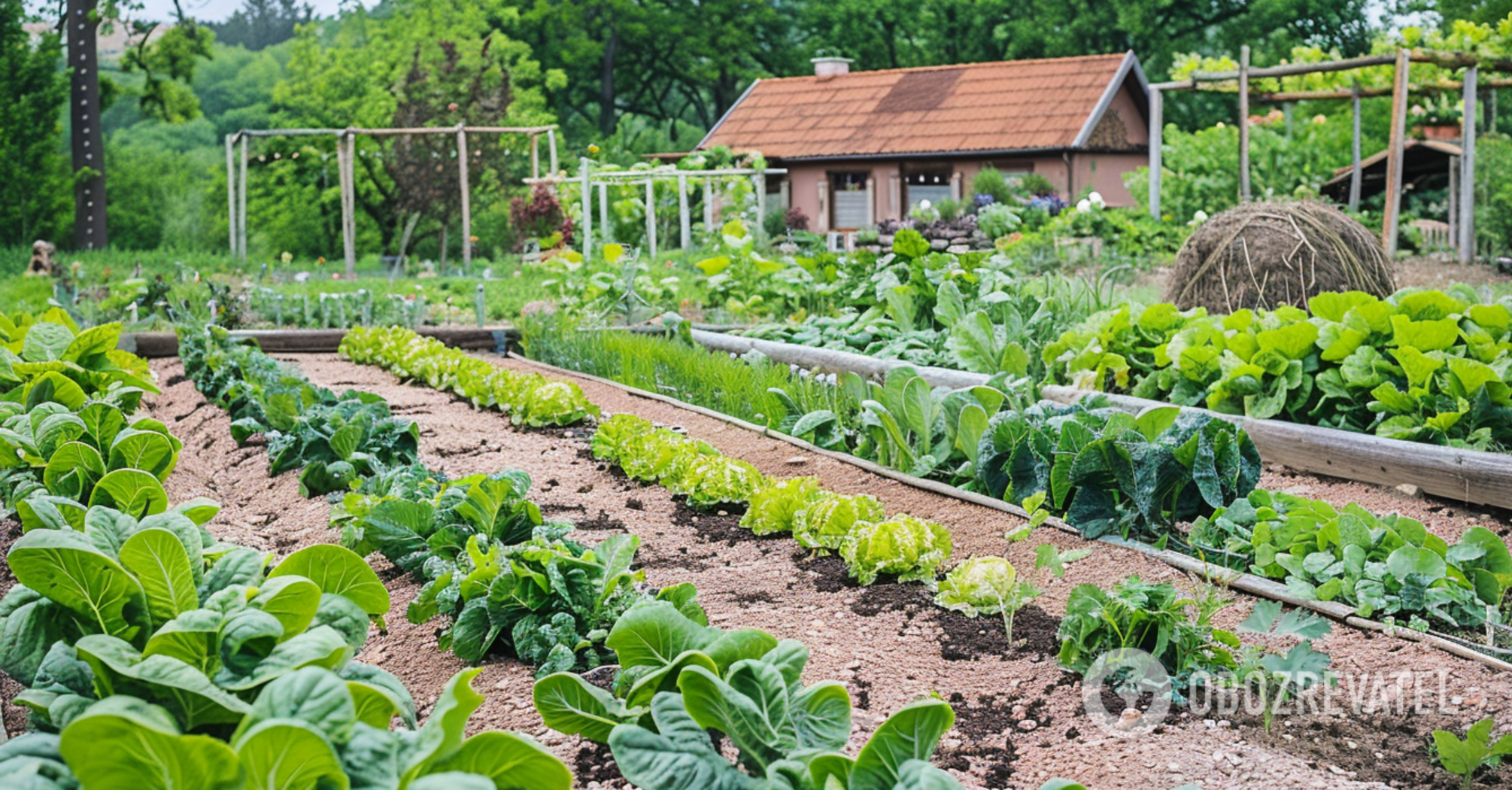 What vegetables and flowers are planted in April: a memo for gardeners