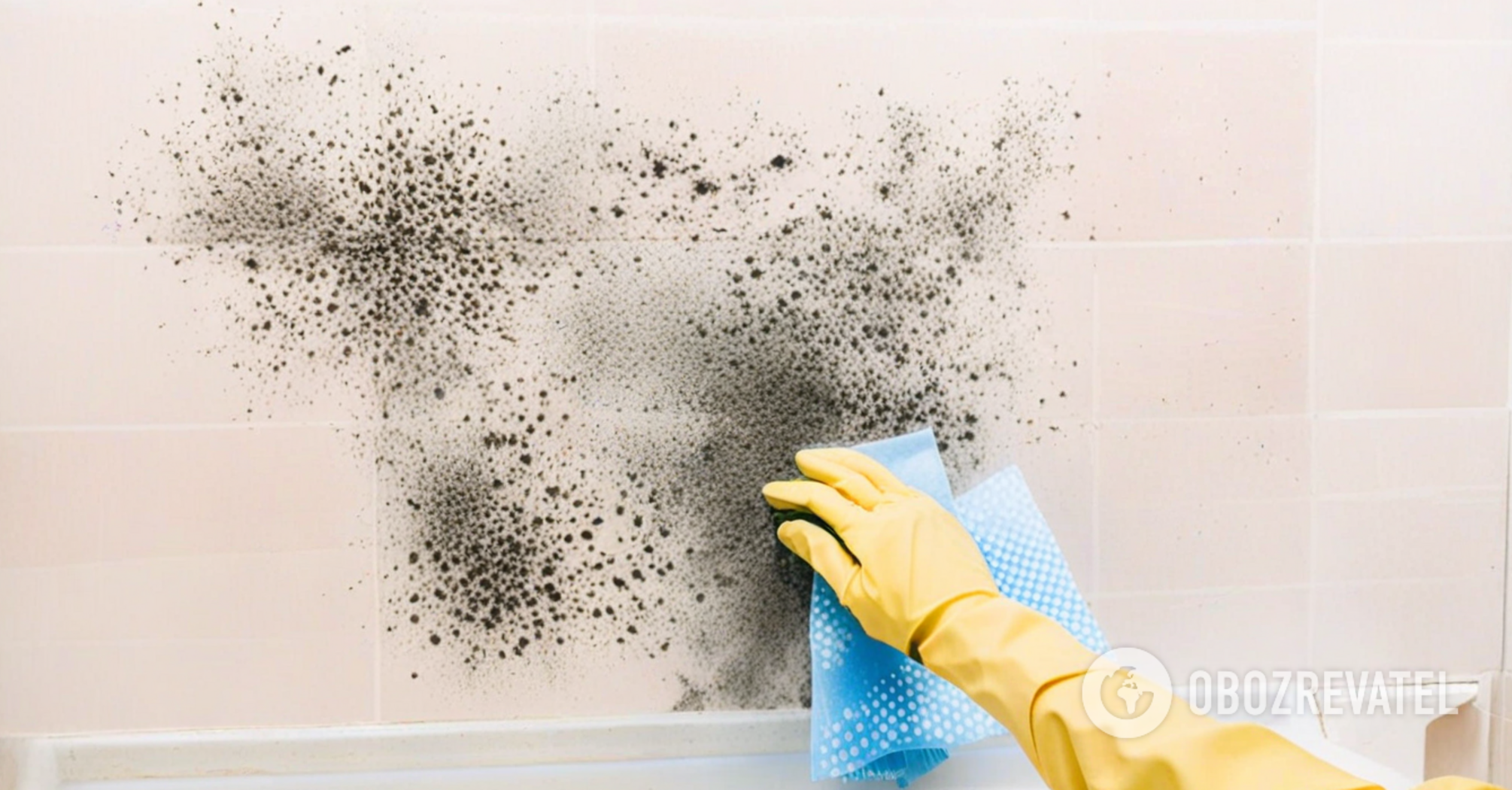 How to permanently get rid of mold in the bathroom: an easy way