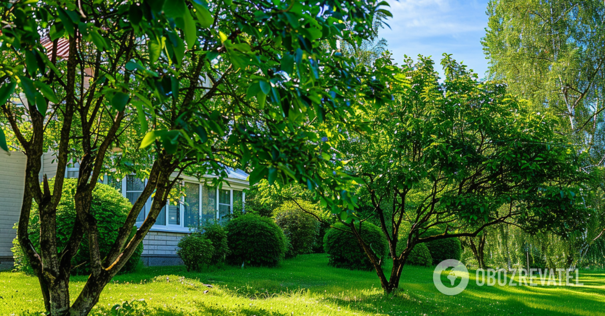 Don't make mistakes: when and with what to properly spray trees in the garden