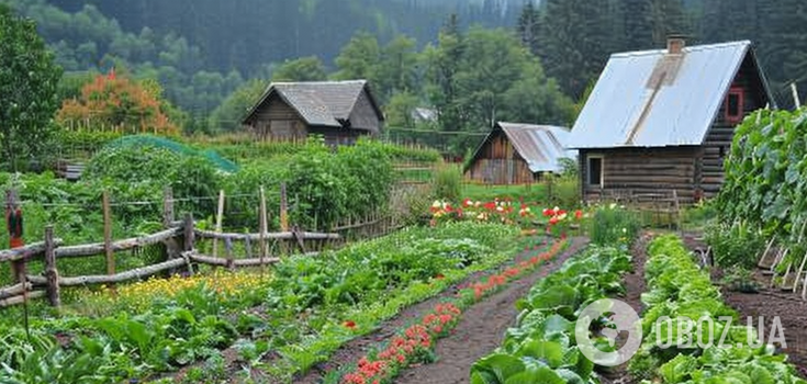 What to do in the garden in May: a cheat sheet for new gardeners