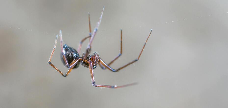 Поверья и приметы