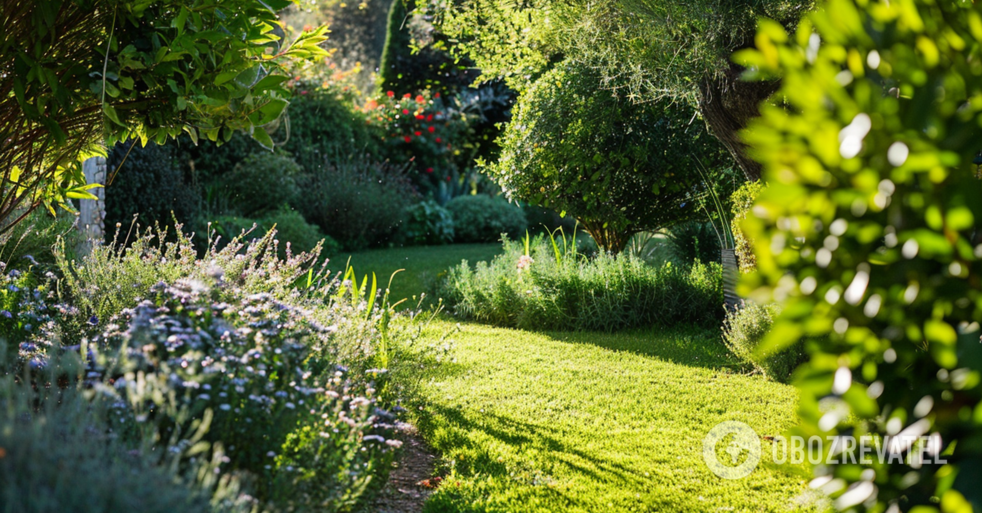 How to get rid of weeds in the garden: the best ways