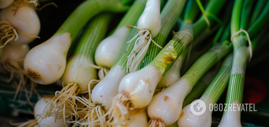 How to grow green onions in two weeks: an ingenious life hack for a summer residence