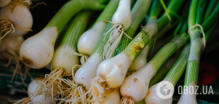 How to grow green onions in two weeks: an ingenious life hack for a summer residence