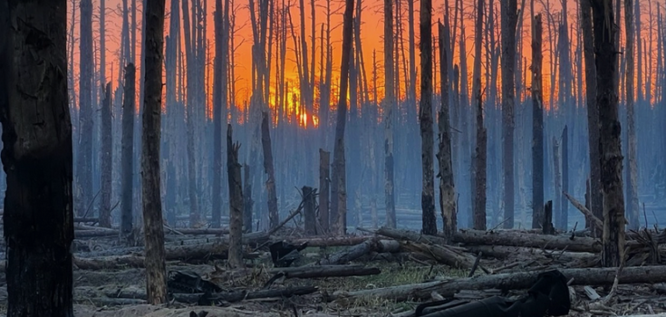 "Burning with our hearts": the National Guard showed how the enemy is destroying Serebrianka forestry. Video