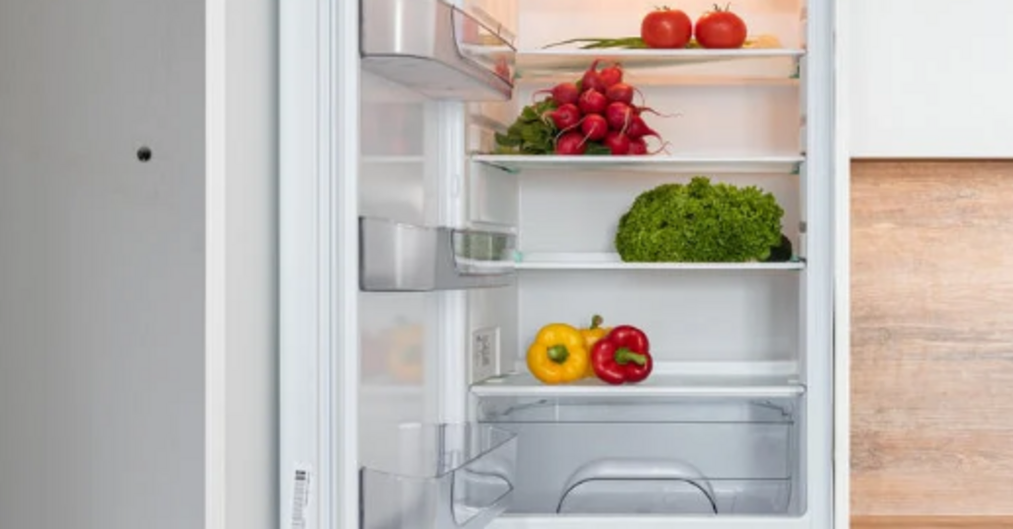 How to get rid of an unpleasant smell from the refrigerator