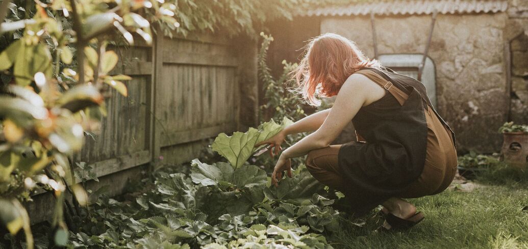 How and what to protect your garden from the heat: simple rules