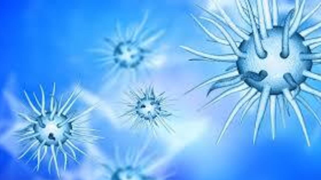 The oldest known human virus, which is 50,000 years old, has been found: now scientists want to "wake it up"