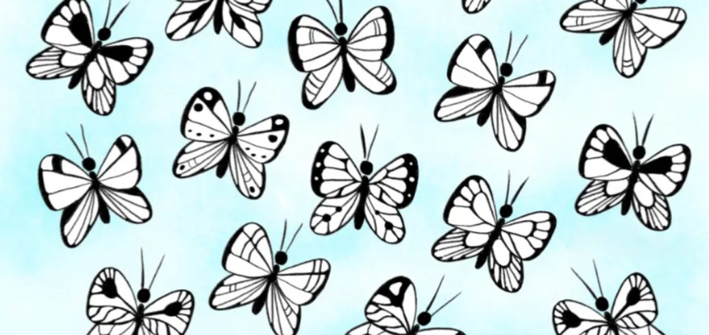 Uwaga łamigłówka: znajdź motyla z unikalnym wzorem